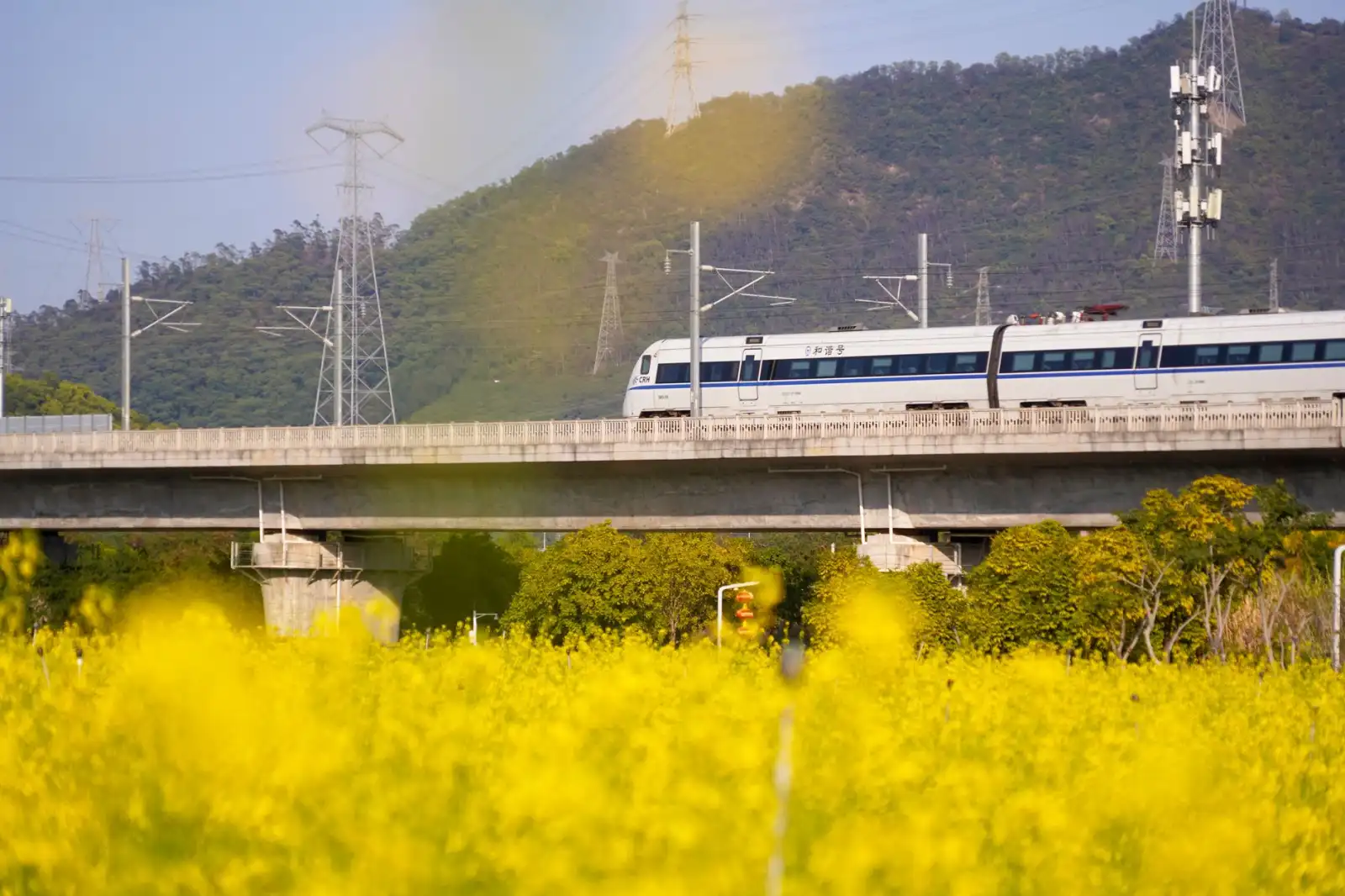 长三角产业规划报告：2025年苏州区域经济新格局与投资机会解析