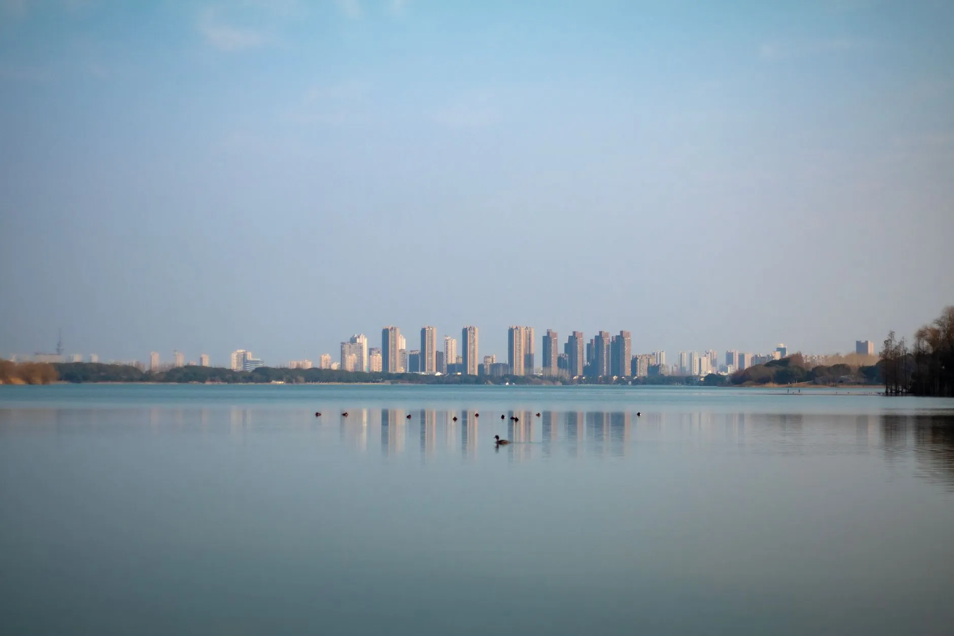 2024年苏州区域经济景气度报告核心指标解读正文配图 1