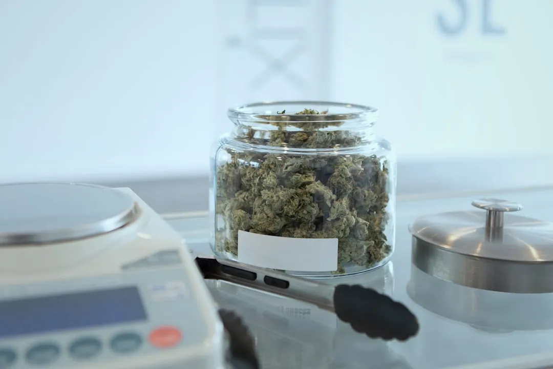 苏州工业园区产业规划报告解读：政策导向与招商策略深度解析